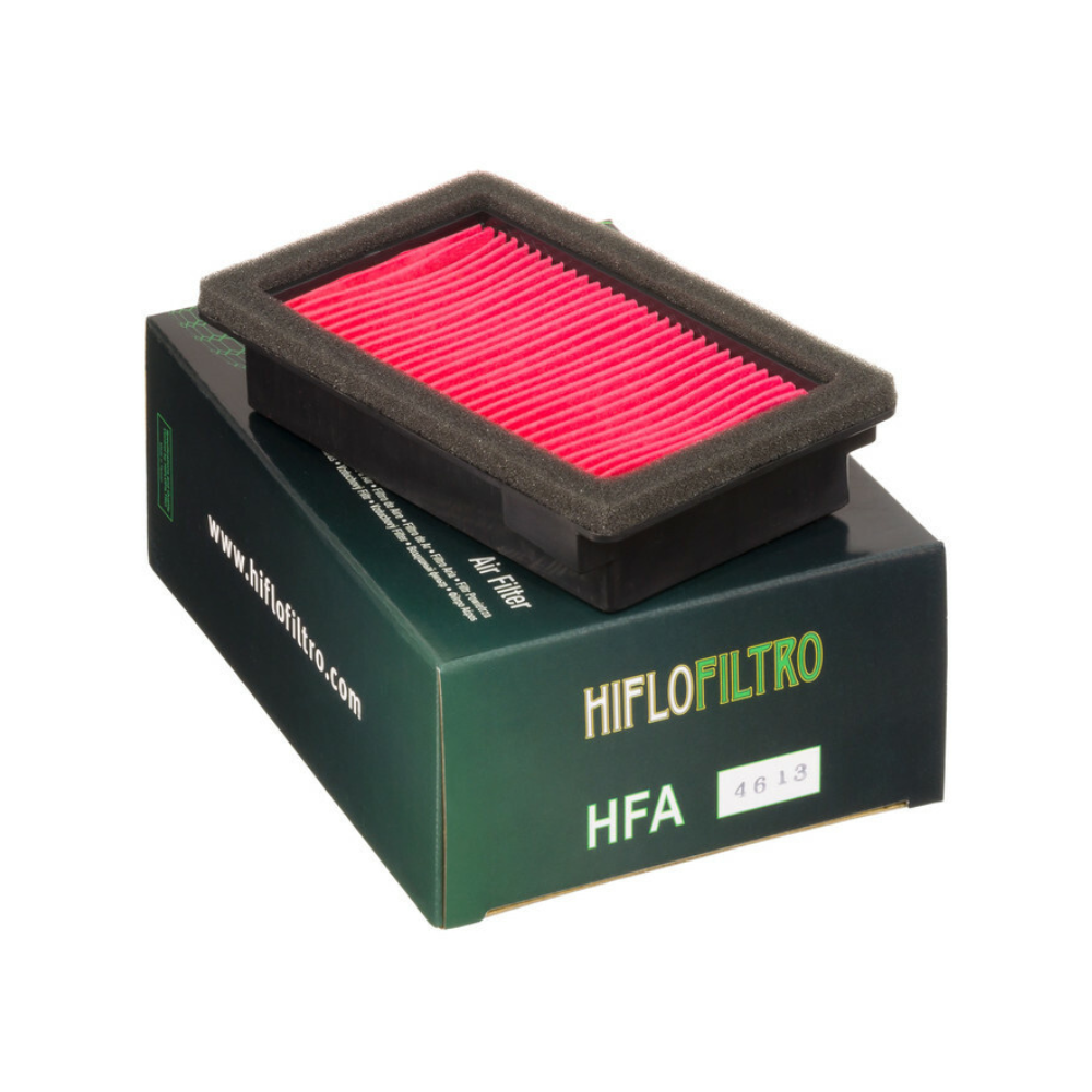 Filtro de aire Hiflofiltro HFA4613